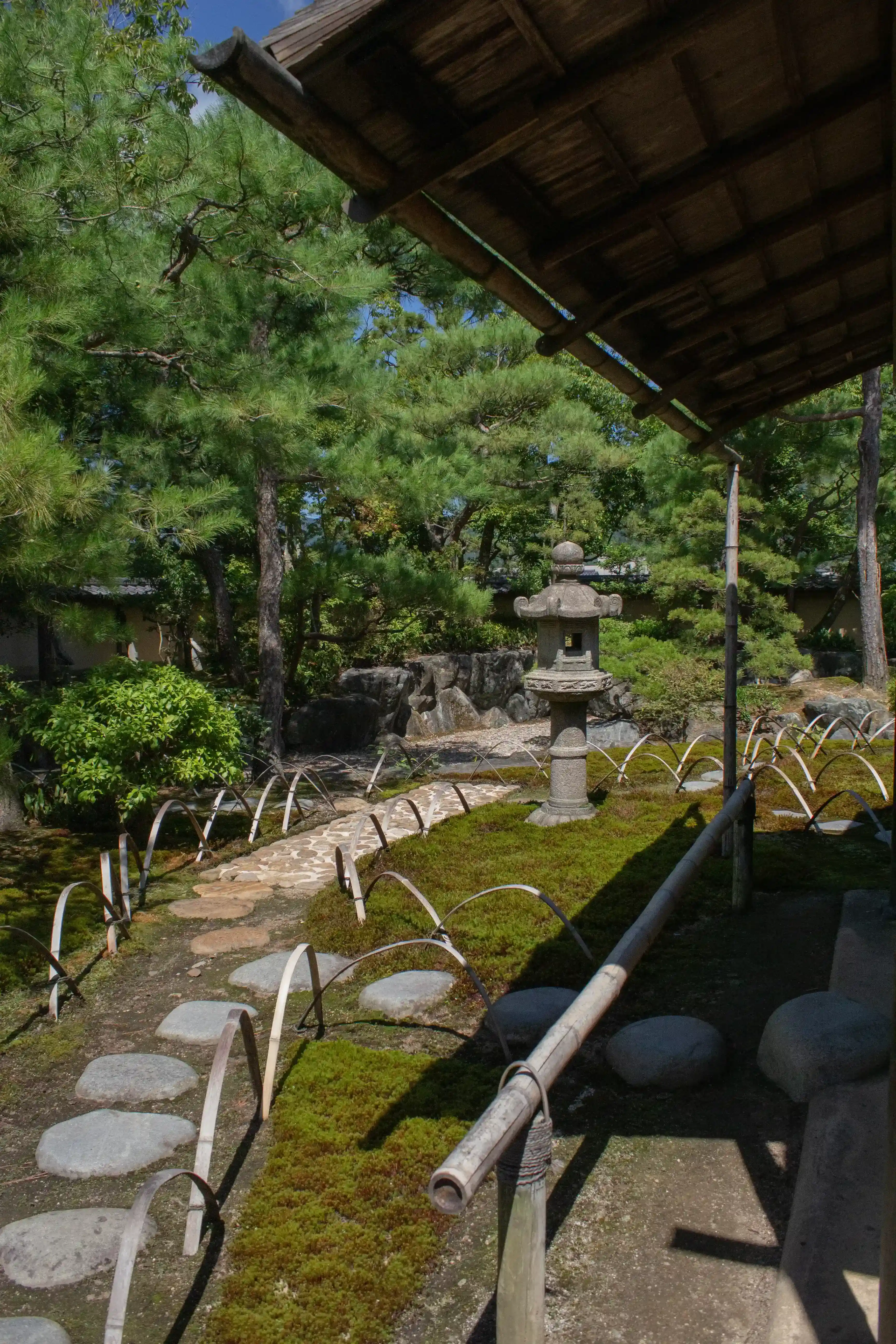 独楽庵の露地