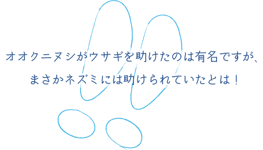 オオクニヌシが兎を助けたのは有名ですが、まさか鼠には助けられていたとは！